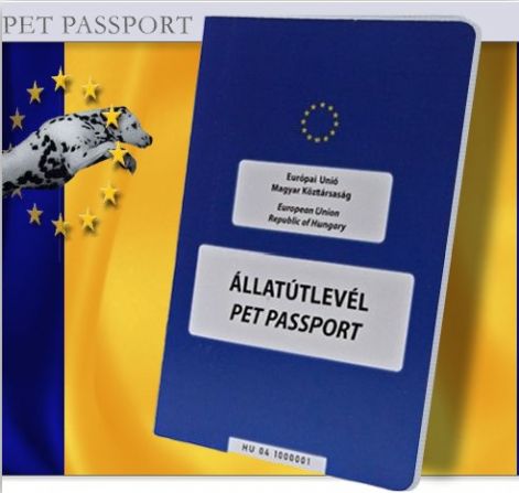 passport.jpg